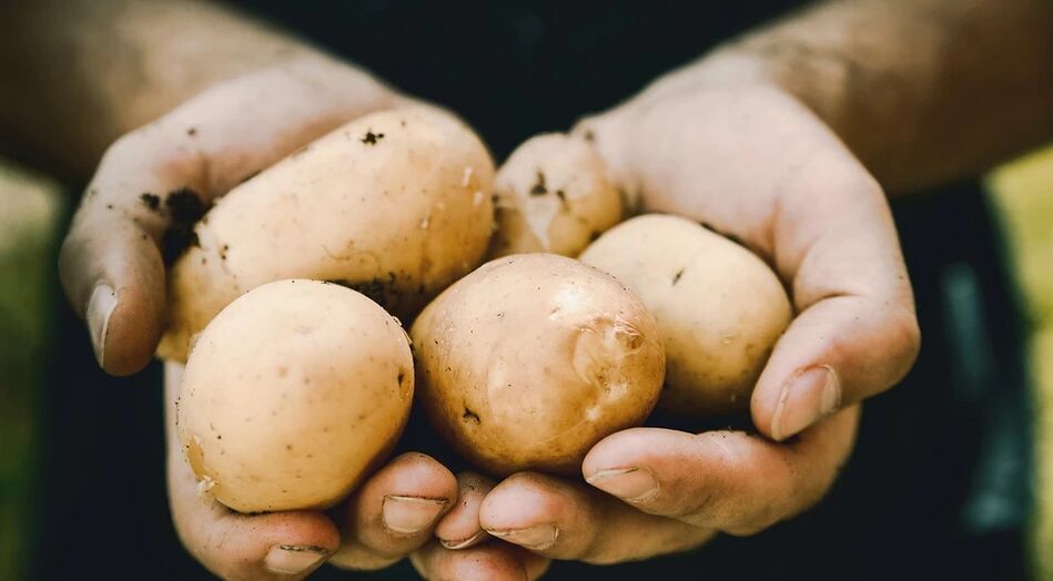 Krumpir pozitivno djeluje na zdravlje muškaraca